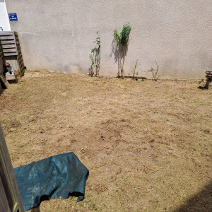 Photo de galerie - Debroussaillage après 