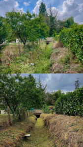 Photo de galerie - Débroussaillage 