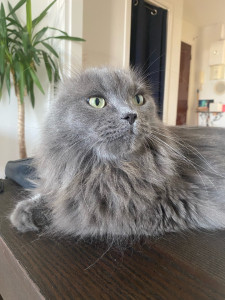 Photo de galerie - Chouki | 12 ans