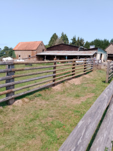 Photo de galerie - Clôture Grillage