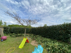 Photo de galerie - Rabattage fini ✅