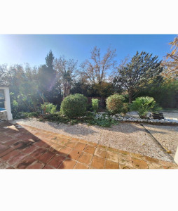 Photo de galerie - Entretien jardin piscine 