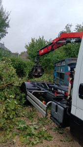 Photo de galerie - évacuation de déchets verts 