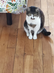 Photo de galerie - Je passe voir le beau max de 8 ans un amour 