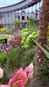 Photo de galerie - Création de massifs 