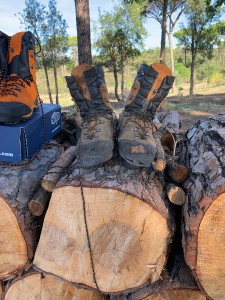 Photo de galerie - Elagage et coupe d'arbres