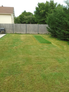 Photo de galerie - Cr2ation de AaZ