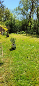 Photo de galerie - Entretien jardin 