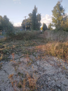 Photo de galerie - Clôture Grillage