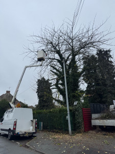 Photo de galerie - élagage d’un cerisier. 