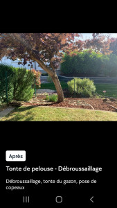 Photo de galerie - Paysagiste - Aménagement du jardin