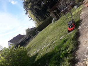 Photo de galerie - Tonte 