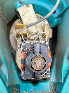 Photo de galerie - Remplacement de la courroie d une tondeuse électrique 