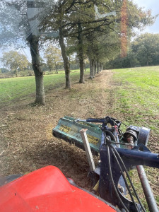 Photo de galerie - Entretien bordure de champs, de parc, ainsi que les pelouses