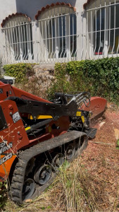 Photo de galerie - Rognage de la souche du platane 