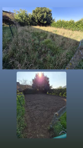 Photo de galerie - Remise en état d’un terrain envahi par la végétation : débroussaillage, nettoyage et nivellement pour créer un espace exploitable.