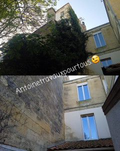 Photo de galerie - Notre réalisation : Enlèvement de lierre en haut de la façade.
