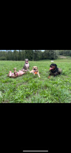 Photo de galerie - Balade en groupe entre copains