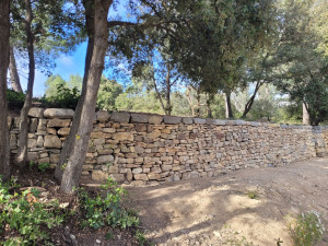 Photo de galerie - Tres belle réfection d’un mur en Pierre sèche. Le client avait fait livré de belle pierre pour le corps du mur, et des grosses pierres pour la couverture.