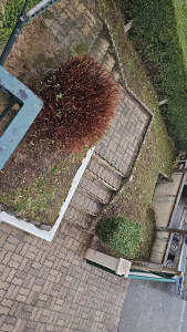 Photo de galerie - Nettoyage allée et fauchage massif