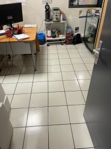 Photo de galerie - Nettoyage des bureaux d’un garage automobile 