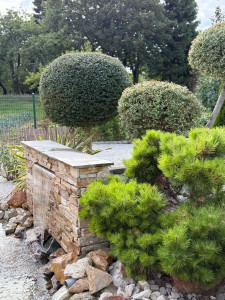 Photo de galerie - Entretien espaces verts 