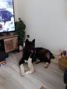 Photo de galerie - Mocha