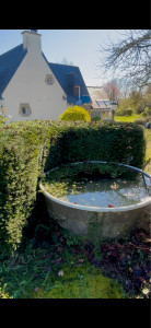 Photo de galerie - Taille de haies et d'arbustes