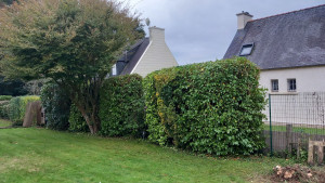 Photo de galerie - Taille et tronçonnage