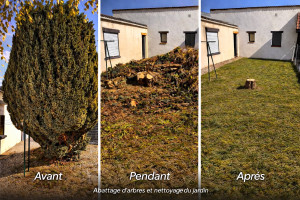 Photo de galerie - Avant /pendant /Apres. Abattage d’arbres et nettoyage du jardin  
