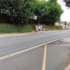 Photo de galerie - Coupe de petit arbres APRÈS 