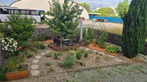 Photo de galerie - Création et aménagement complet du jardin 