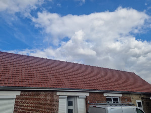 Photo de galerie - Rénovation toiture, cache moineaux, goutiere zinc