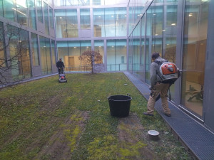 Photo de galerie - Tonte et débroussaillage de qualité avec matériel pro??