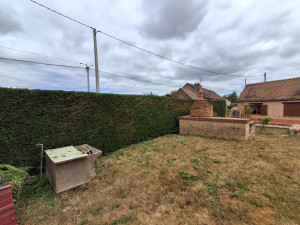 Photo de galerie - Taille de haies 