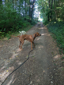 Photo de galerie - ?