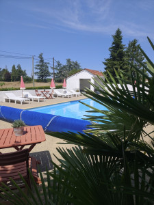Photo de galerie - Entretien piscine