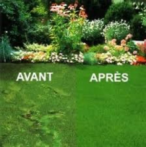 Photo de galerie - Entretien esepace vert élagage petit maçonnerie entretien jardin pelouse nettoyer toiture 