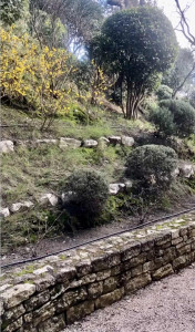 Photo de galerie - Jardinier