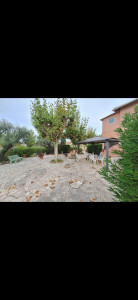 Photo de galerie - Elagage et coupe d'arbres