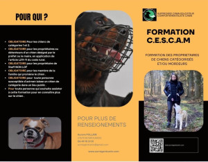 Photo de galerie - Garde chien
