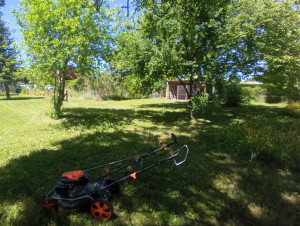 Photo de galerie - Tonte de vos pelouses 