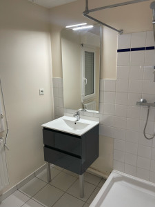 Photo de galerie - Pose meuble vasque et Miroir 