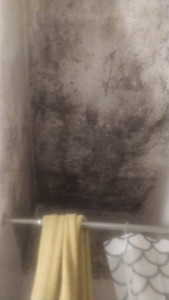 Photo de galerie - Plafond de SDB( tache d'humidité) 
Avant mon intervention