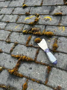 Photo de galerie - Démoussage travaux de Couverture