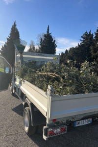 Photo de galerie - Débarras déchet vert 