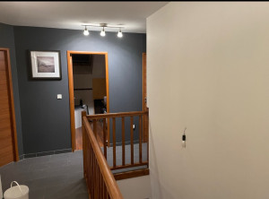 Photo de galerie - Peinture - Tapisserie