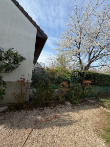 Photo de galerie - Paysagiste - Aménagement du jardin