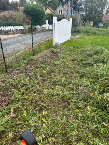 Photo de galerie - Débroussailler débarras des déchets verts