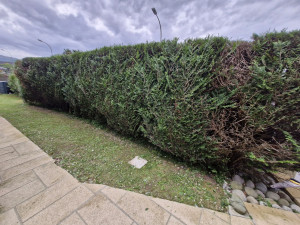 Photo de galerie - Apres